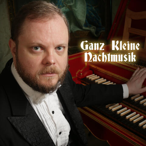 Ganz Kleine Nachtmusik