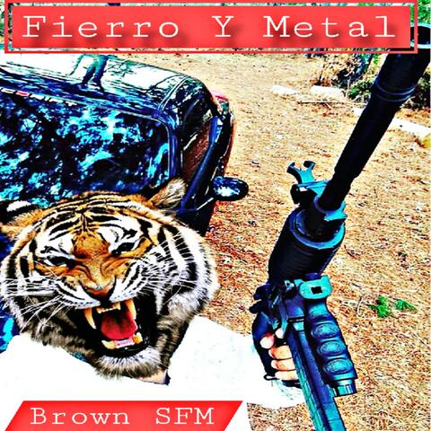 Fierro y Metal