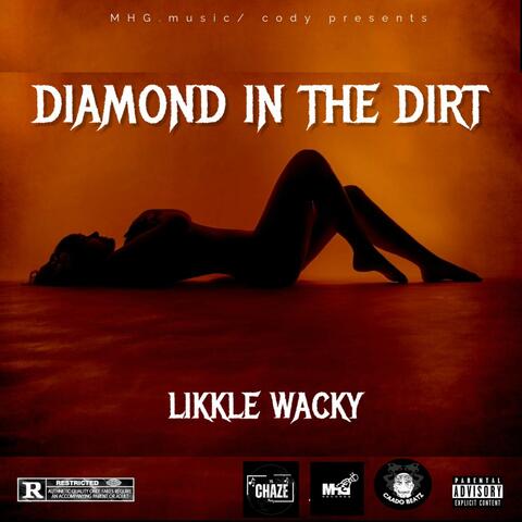 Diamond in the Dirt