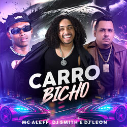 Carro Bicho