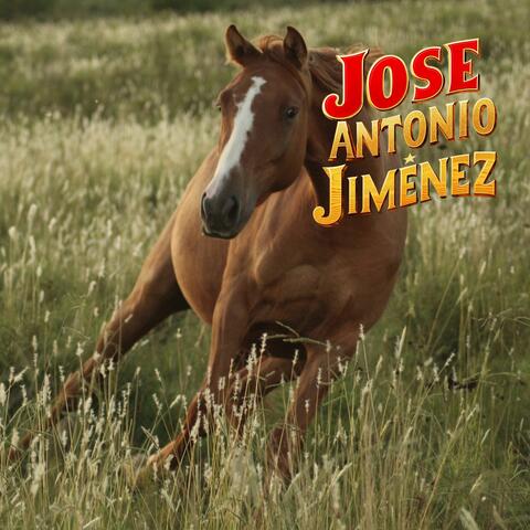 Diciembre en Capanaparo