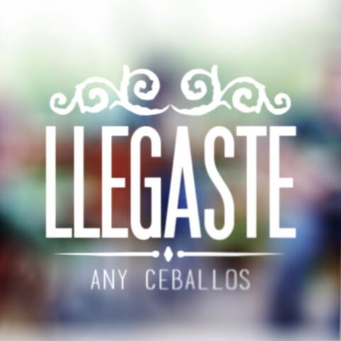 Llegaste