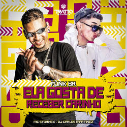 Ela Gosta de Receber Carinho [Funk Br]