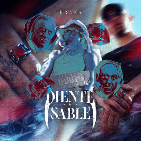 Diente de Sable