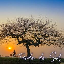 Tarde de Sol