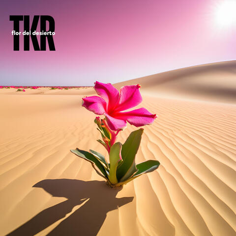 Flor del Desierto