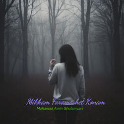 Mikham Faramoshet Konam