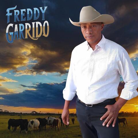 Se Fueron por un Portillo