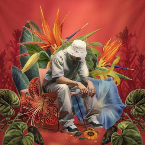 Bom Que as Memórias Perduram para Sempre