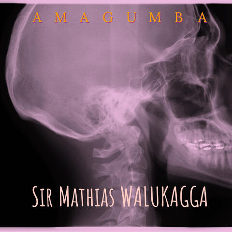 Amagumba