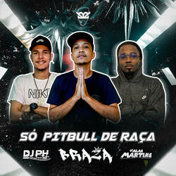 Só Pitbull de Raça