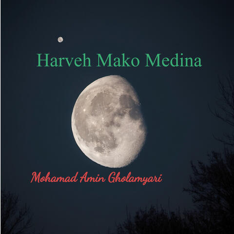 Harveh Mako Medina