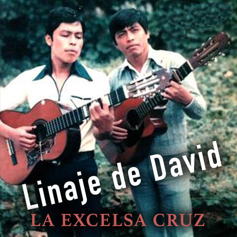 Excelsa Cruz