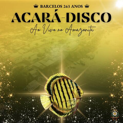Bailado ao Vivo - Barcelos 263 Anos