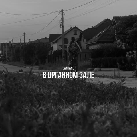 В органном зале