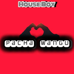 Pacha wangu