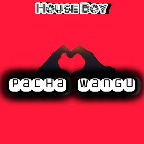 Pacha wangu