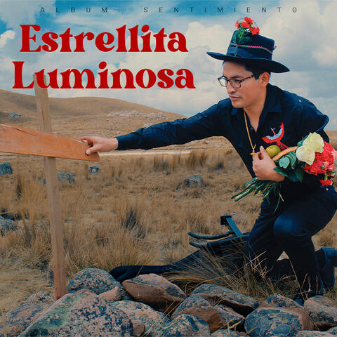Estrellita Luminosa