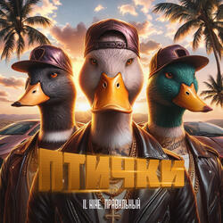 Птички