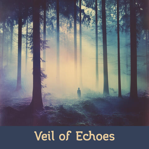Veil of Echoes
