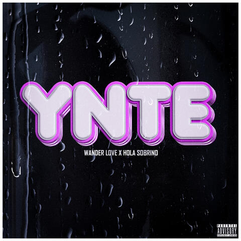 Ynte