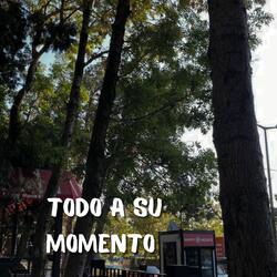 Todo a Su Momento