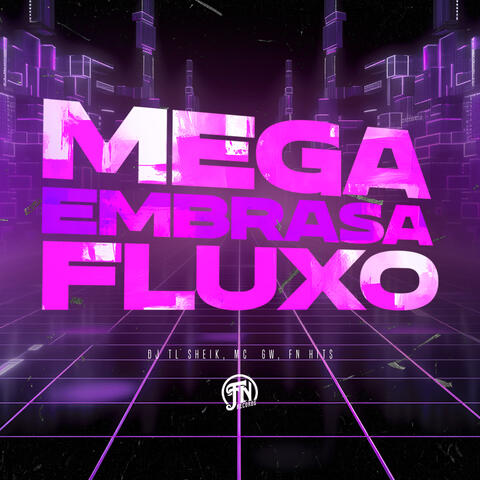 Mega Embrasa Fluxo