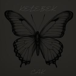Kelebek