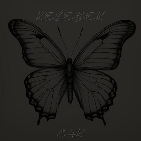 Kelebek