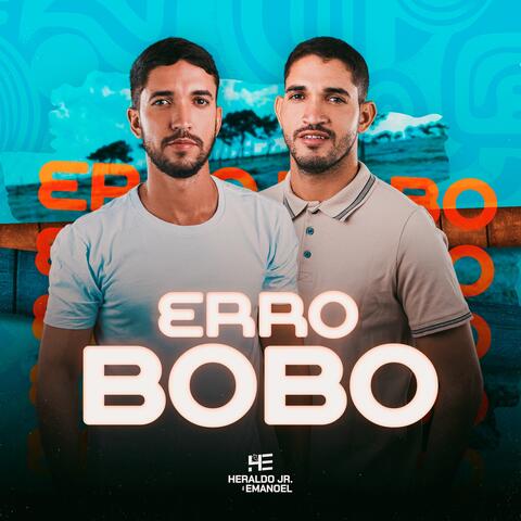 Erro Bobo