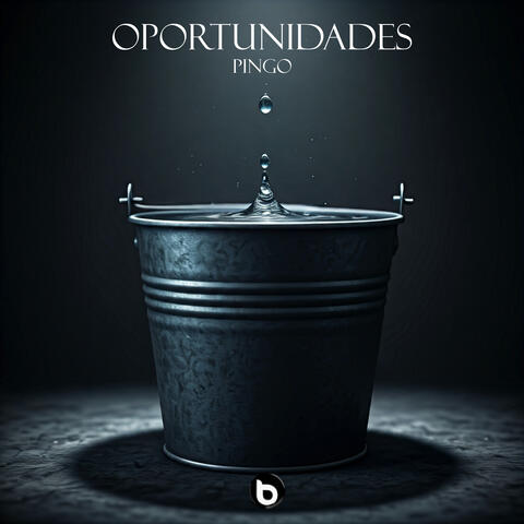 Oportunidades