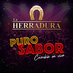 Puro Sabor