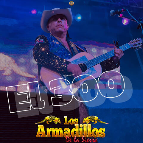 El 300
