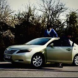 Зелёный Гибрид