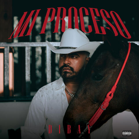 Mi Proceso