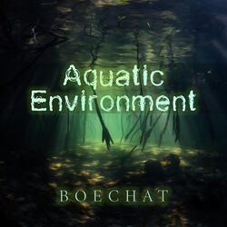 Aquatic Environment