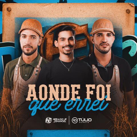 Aonde Foi Que Errei