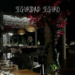 Seguridad Seguro