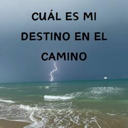 Cuál Es Mi Destino en el Camino