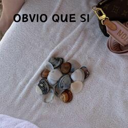 Obvio Que Si