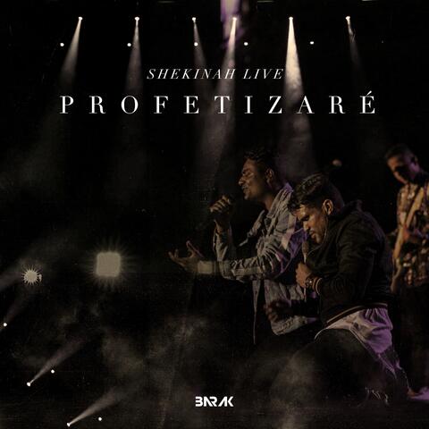 Profetizaré