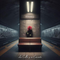 La Calle y Su Encanto