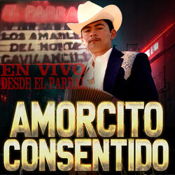 Amorcito Consentido en Vivo Desde el Parral