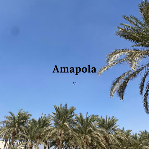 Amapola