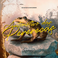 Automotivo das Pererecas