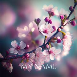 My Name