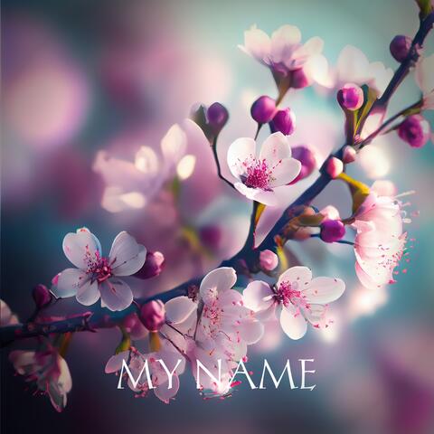 My Name