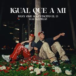 Igual Que a Mi