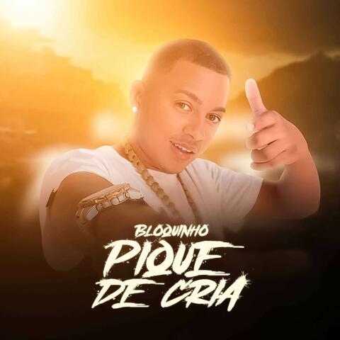 Bloquinho Pique de Cria