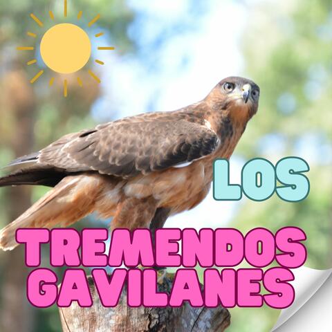 Los Tremendos Gavilanes